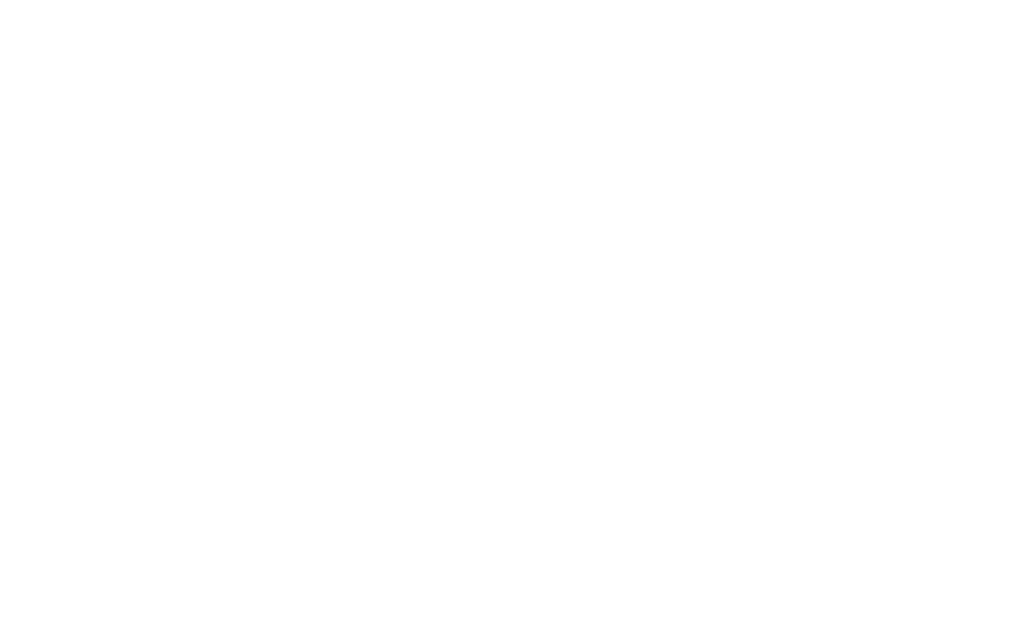 PPA PARTNERS INVESTMENTS